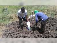 Mayat Mr X Yang Ditemukan di Hutan Kedungadem Bojonegoro, Dimakamkan