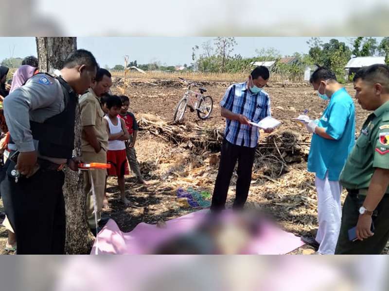 Mr X Ditemukan Meninggal Dunia di Area Pesawahan Dander Bojonegoro, Diduga Orang Gila