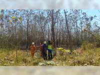 Semak Belukar di Area Lahan Jati Milik Warga di Baureno Bojonegoro Terbakar