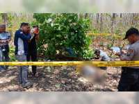 Mayat Laki-Laki Tanpa Identitas, Ditemukan Warga di Kawasan Hutan Bubulan Bojonegoro
