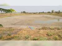 Ratusan Embung di Kabupaten Bojonegoro Alami Kekeringan