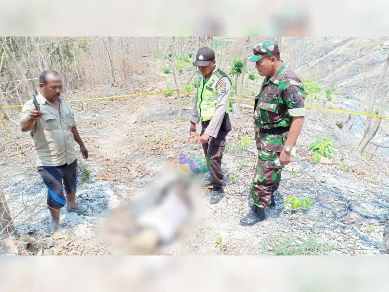 Seorang Karyawan Perhutani KPH Bojonegoro Ditemukan Meninggal Dunia di Hutan