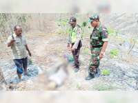 Seorang Karyawan Perhutani KPH Bojonegoro Ditemukan Meninggal Dunia di Hutan