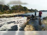 Kondisi Air Sungai Bengawan Solo di Bojonegoro Lebihi Ambang Batas Baku Mutu