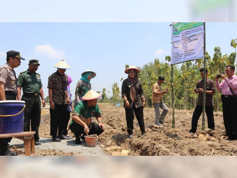 Kemendesa PDTT Bantu Pembangunan Sarpras Agribisnis Ayam Joper Desa Brabowan Blora