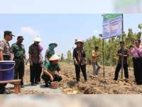 Kemendesa PDTT Bantu Pembangunan Sarpras Agribisnis Ayam Joper Desa Brabowan Blora