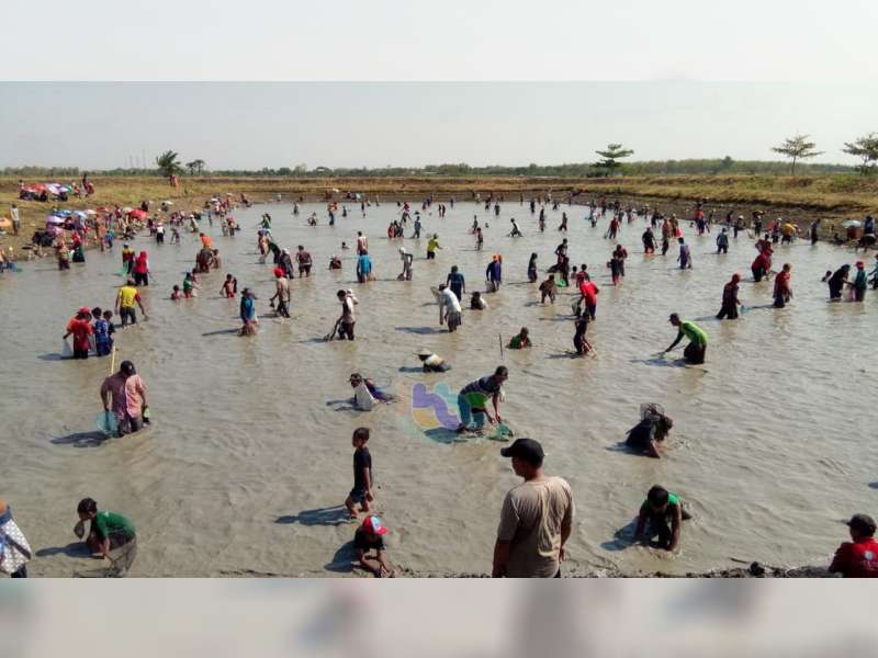 Ratusan Warga di Kanor Bojonegoro, Ikuti Lomba Tangkap Ikan