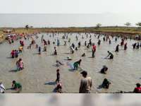 Ratusan Warga di Kanor Bojonegoro, Ikuti Lomba Tangkap Ikan