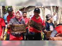 Wilayah Kabupaten Blora Potensial Untuk Budidaya Lebah Madu