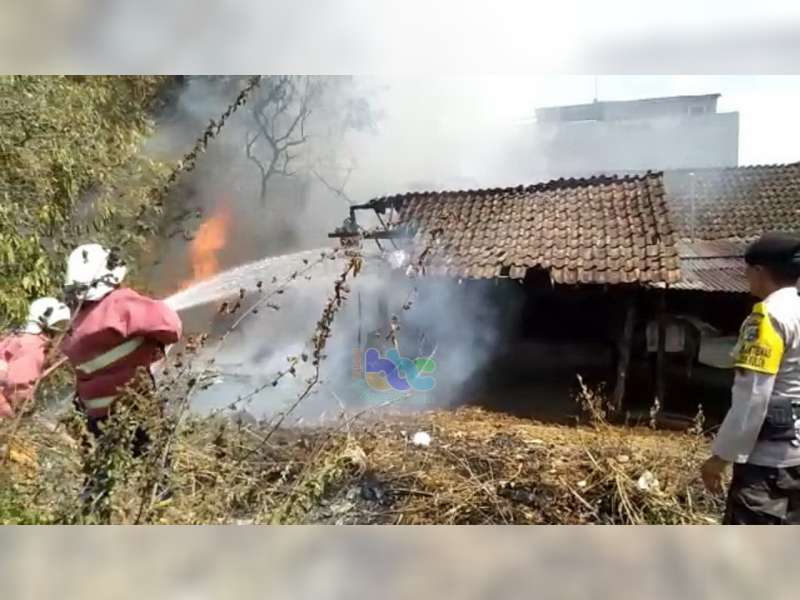 Kandang Milik Warga Bojonegoro Terbakar, 5 Ekor Kambing Turut Terpanggang Api