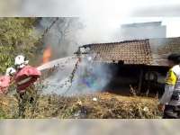 Kandang Milik Warga Bojonegoro Terbakar, 5 Ekor Kambing Turut Terpanggang Api
