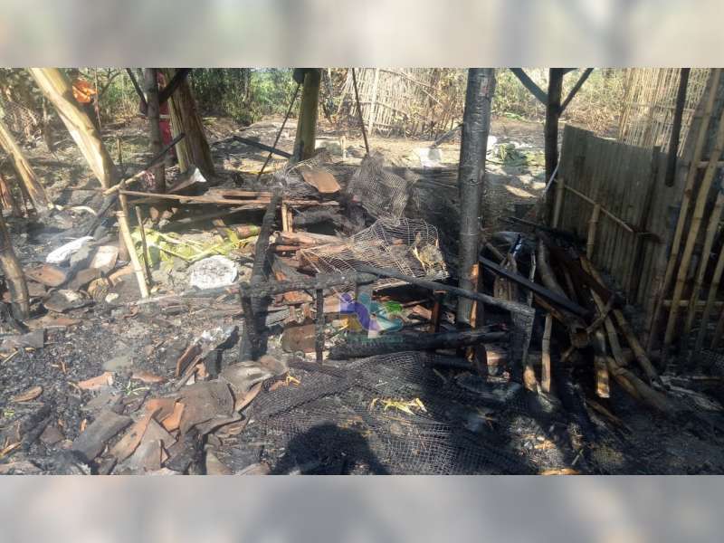 Kandang Berikut 10 Pasang Burung Love Bird Milik Warga Balen Bojonegoro Terbakar