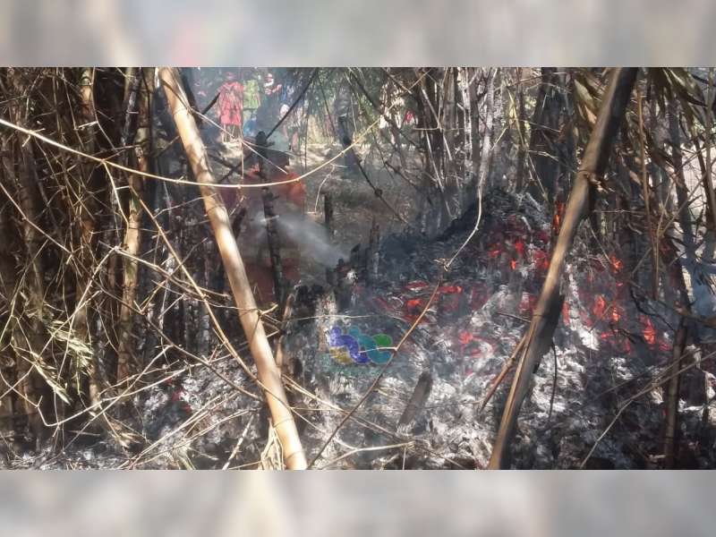 Akibat Pembakaran Sampah, Rumpun Bambu di Ledokkulon Bojonegoro Terbakar
