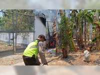 Diduga Akibat Pembakaran Sampah, Kandang Milik Warga Ngambon Bojonegoro Terbakar