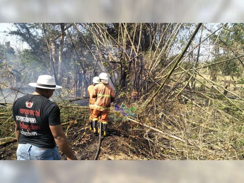 Dalam Waktu Yang Hampir Bersamaan, di Bojonegoro Terjadi 2 Peristiwa Kebakaran Lahan