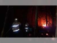 Semak di Kedungadem Terbakar. Ini Kebakaran Kelima di Bojonegoro Selama Sehari Kemarin