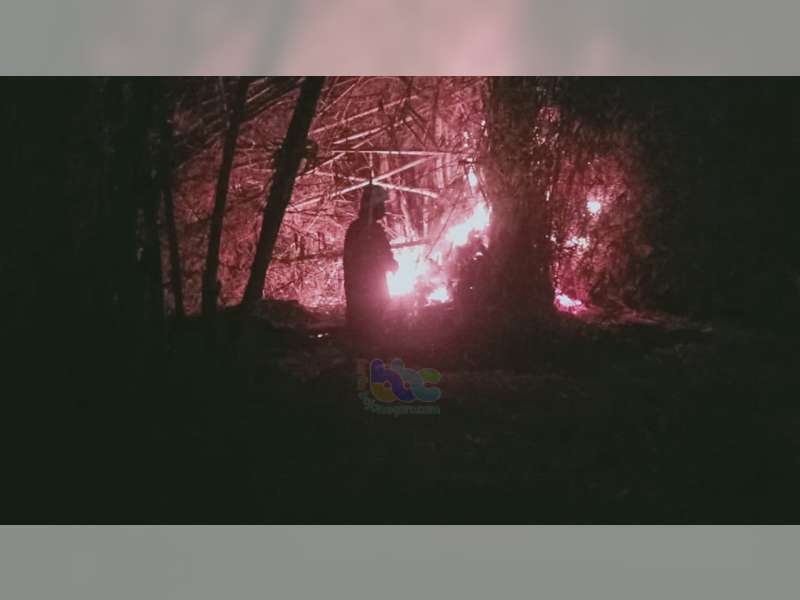Rumpun Bambu Dekat Pemukiman Warga di Ngasem Bojonegoro Terbakar