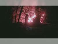 Rumpun Bambu Dekat Pemukiman Warga di Ngasem Bojonegoro Terbakar