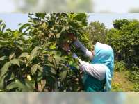 Sejumlah Destinasi Wisata Baru, Bermunculan di Bojonegoro