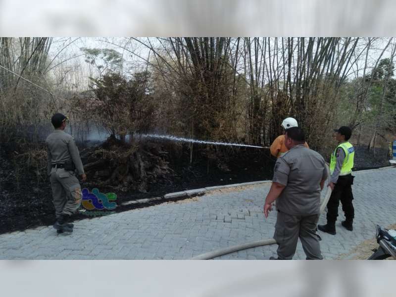 Semak Belukar dan Rumpun Bambu Milik Warga Kedungadem Bojonegoro Terbakar
