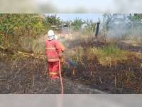 Akibat Pembakaran Sampah, Semak di Ledokkulon Bojonegoro Terbakar