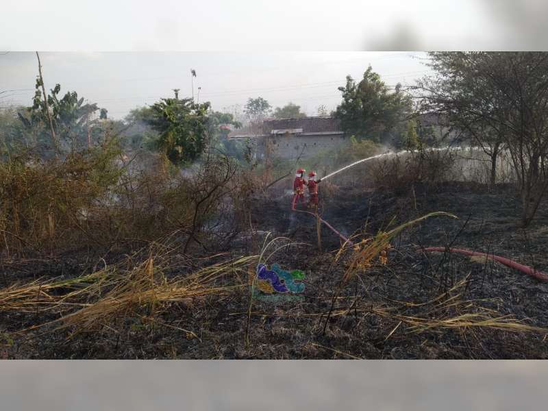 Kebakaran Semak Kembali Terjadi di Bojonegoro, Ini Kebakaran Semak Kedua Hari Ini
