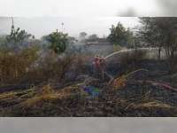 Kebakaran Semak Kembali Terjadi di Bojonegoro, Ini Kebakaran Semak Kedua Hari Ini