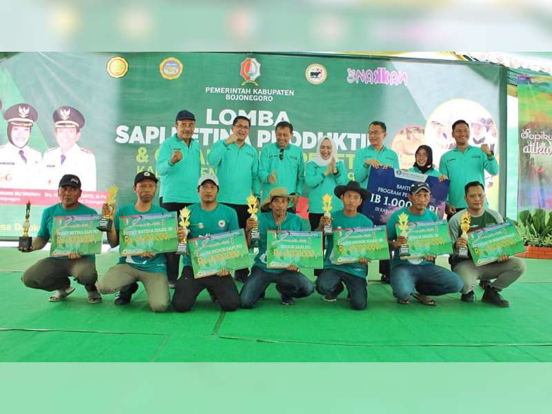 Inilah Pemenang Lomba Sapi Betina Produktif dan Panen Pedet 2019 Kabupaten Bojonegoro