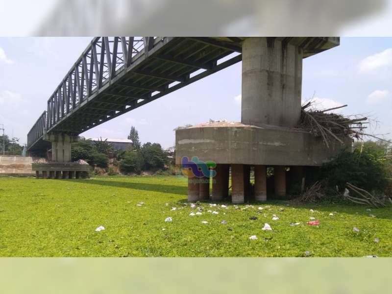 Sungai Bengawan Solo di Padangan Bojonegoro Dipenuhi Tumbuhan Air