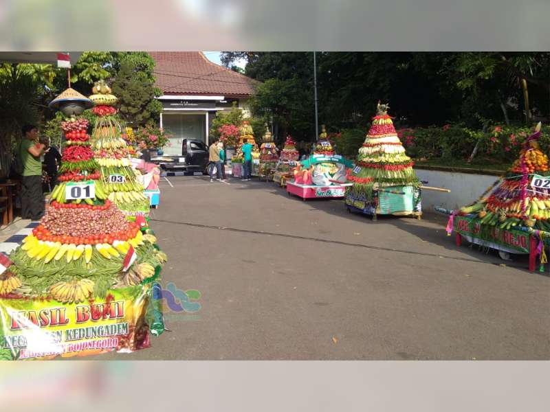 Inilah Gunungan Terbaik dalam Grebeg Berkah Bojonegoro, HJB ke-342 Tahun 2019