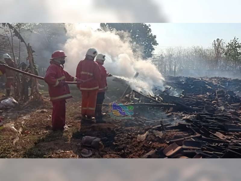 Kandang Ayam dan Semak Belukar Lahan Jati Warga di Baureno Bojonegoro Terbakar