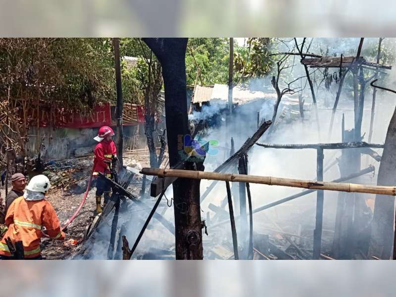 Lagi, Akibat Pembakaran Sampah, Kandang Warga Bojonegoro Kota Terbakar