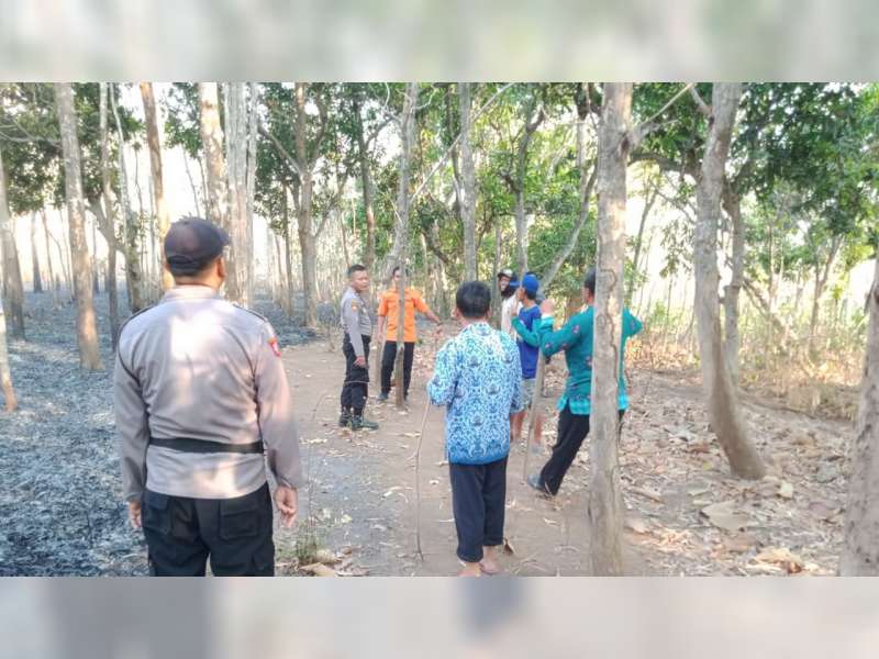 Semak Belukar di Lahan Jati Milik Warga Trucuk Bojonegoro Terbakar