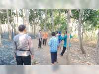 Semak Belukar di Lahan Jati Milik Warga Trucuk Bojonegoro Terbakar