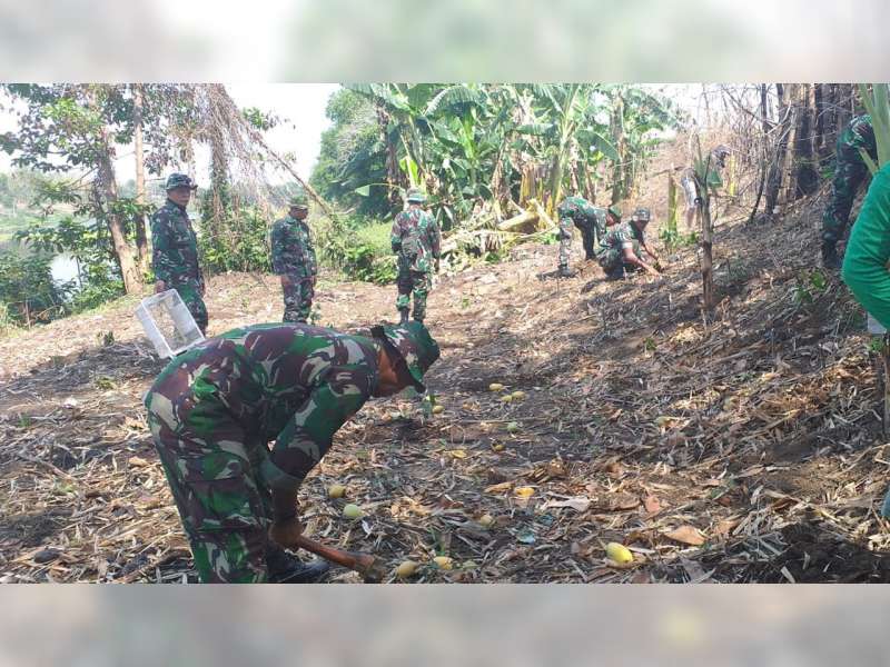 Anggota TNI Kodim Bojonegoro Tanam Ribuan Pohon di Bantaran Sungai Bengawan Solo