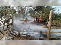 Kandang Sapi di Sekar Bojonegoro Ludes Terbakar, 3 Ekor Sapi Berhasil Diselamatkan