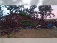 Angin Kencang di Sukosewu Bojonegoro, Belasan Rumah Roboh, Kerugian Capai Rp 220 Juta