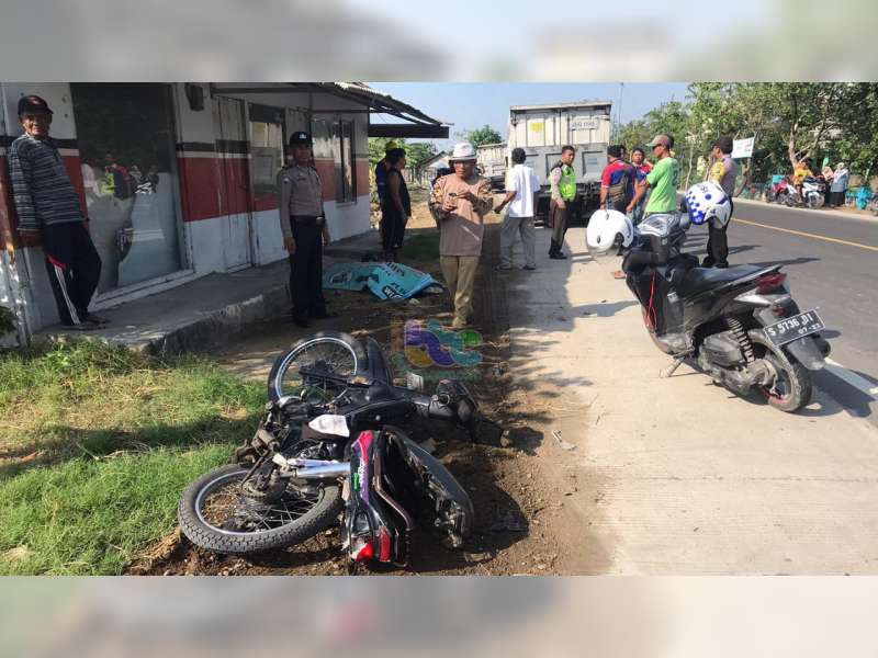 Motor Ditabrak Truk Boks di Gayam Bojonegoro, Pemotor Asal Cepu Blora Tewas di TKP