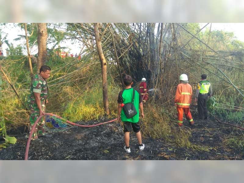Akibat Pembakaran Sampah, Semak dan Rumpun Bambu Milik Warga Ngambon Bojonegoro Terbakar