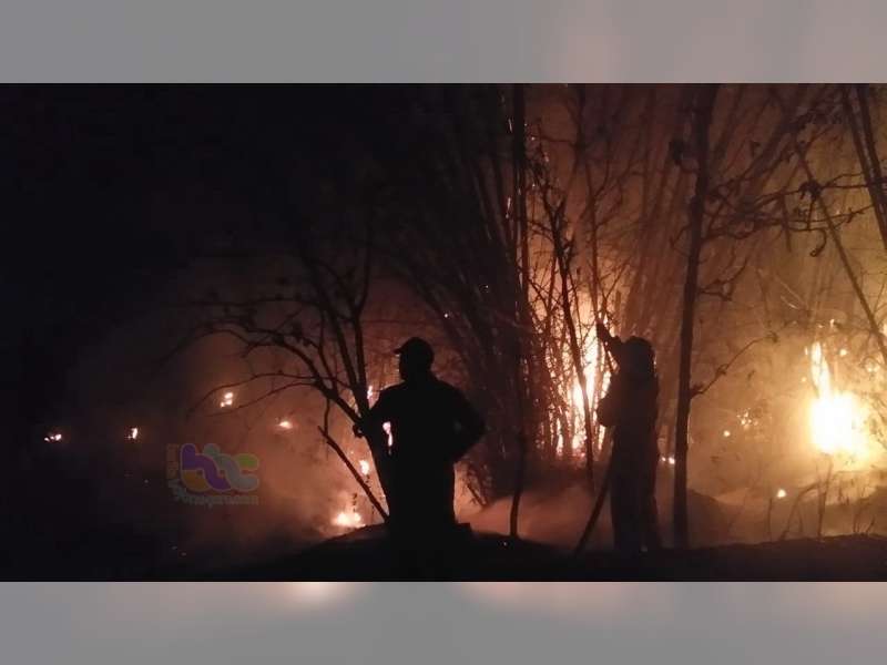 Diduga Akibat Puntung Rokok, Rumpun Bambu Milik Warga Sugihwaras Bojonegoro Terbakar