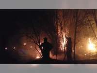 Diduga Akibat Puntung Rokok, Rumpun Bambu Milik Warga Sugihwaras Bojonegoro Terbakar