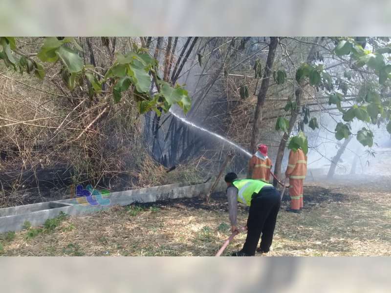 Semak Belukar dan Rumpun Bambu di Kedungadem Bojonegoro Terbakar