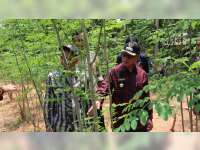 Kunjungi Blora, Walikota Samarinda Ingin Kembangakan Tanaman Kelor