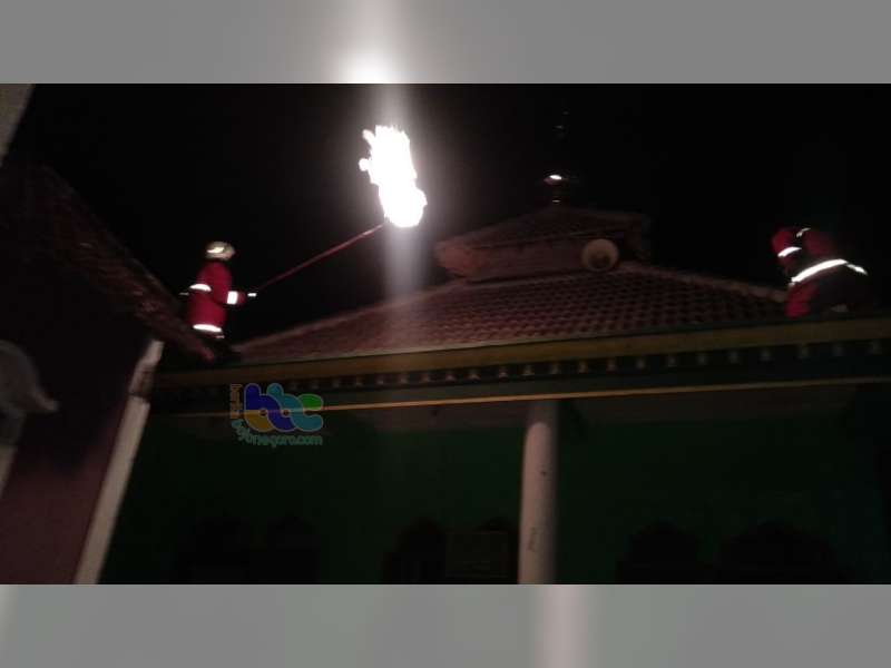 Dinas Pemadam Kebakaran Bojonegoro Evakuasi Sarang Tawon ‘Ndas’ di Atap Musala