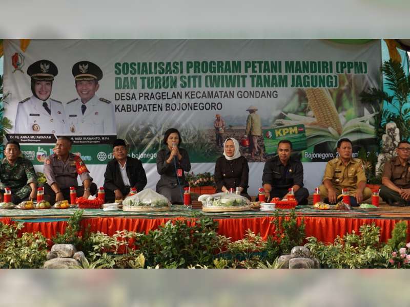 Sosialisasi Program Petani Mandiri di Gondang, Bupati Bojonegoro Ikuti Wiwit Tanam Jagung