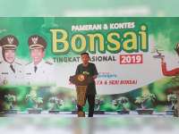 Ratusan Bonsai Ikuti Pameran dan Kontes Bonsai Tingkat Nasional di Bojonegoro