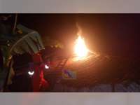 Dalam Semalam, Dinas Damkar Bojonegoro Evakuasi 3 Sarang Tawon Vespa