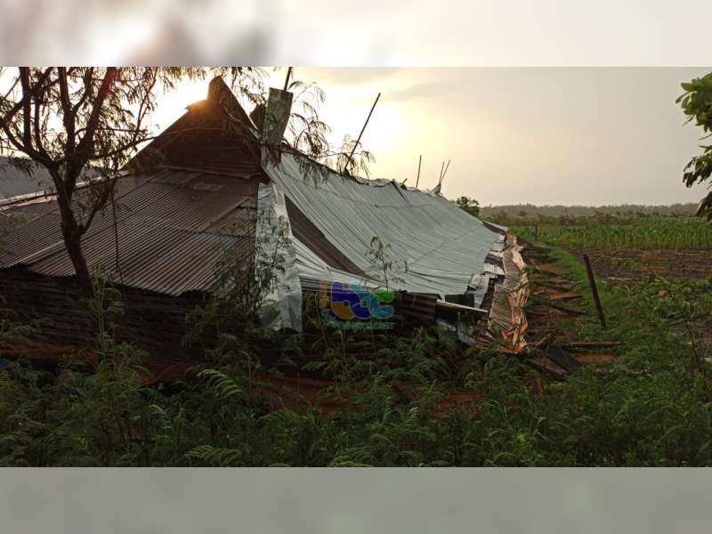 Diterjang Angin, 2 Kandang Ayam di Baureno Bojonegoro Roboh, 1 Lainnya Rusak