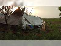 Diterjang Angin, 2 Kandang Ayam di Baureno Bojonegoro Roboh, 1 Lainnya Rusak