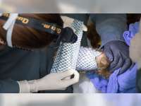 Dokter Hewan Gunakan Kulit Ikan Nila Hitam untuk Sembuhkan Luka Bakar